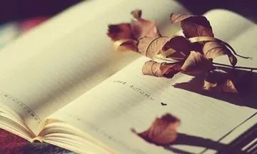 高中英语作文好句文案摘抄