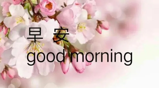 早安问候编辑_美篇