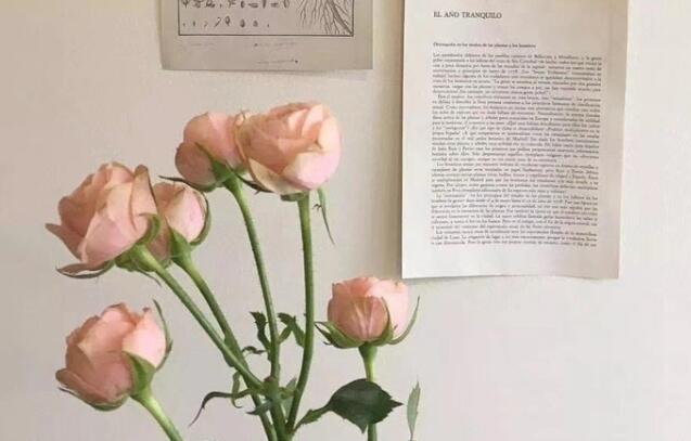 温柔短句干净治愈