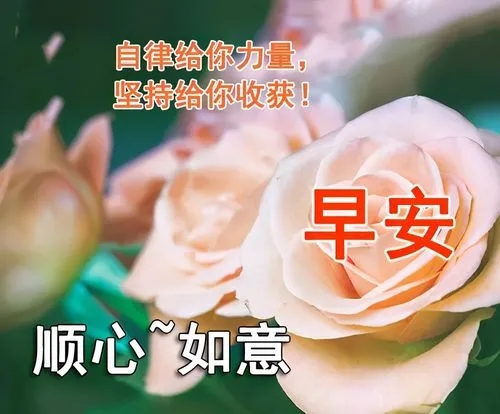 珍惜缘分的早安问候