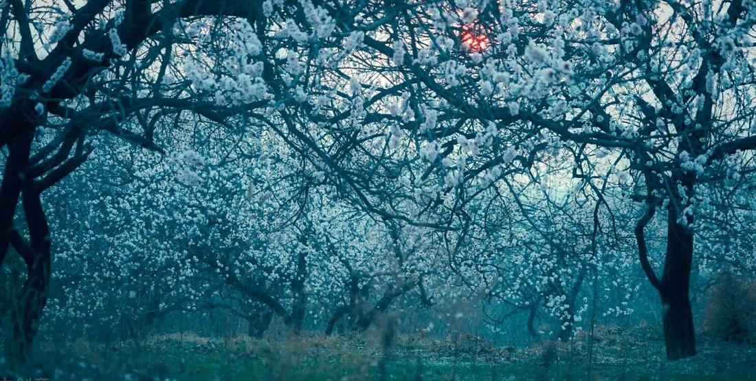 好词好句文案好段摘抄短句