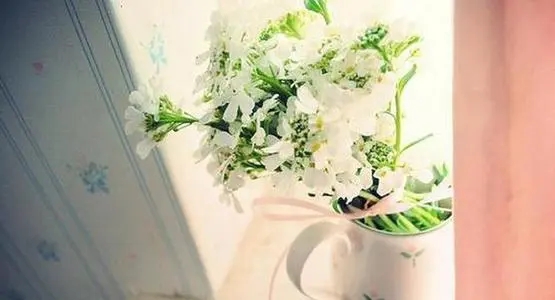 好句子文案发朋友圈短句