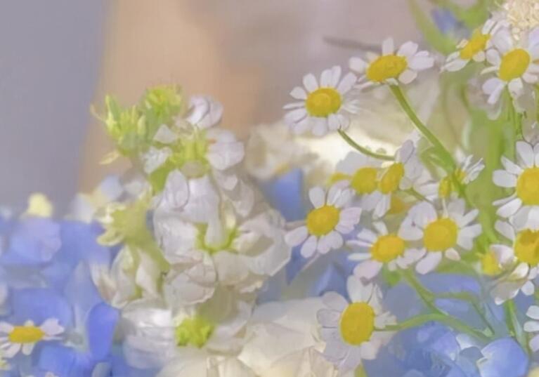 描写放松心情的句子文案