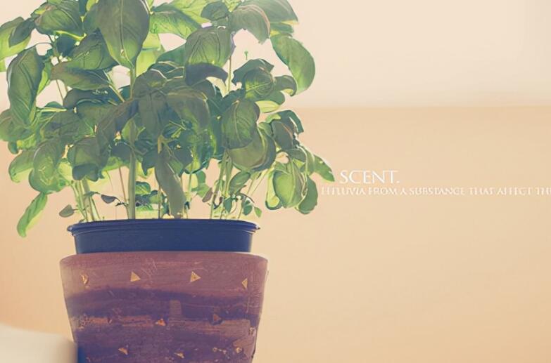 最精辟的微信励志句子文案