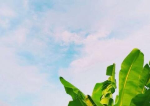 感慨倒霉的句子文案