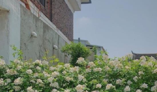 担心失去一个人的说说文案