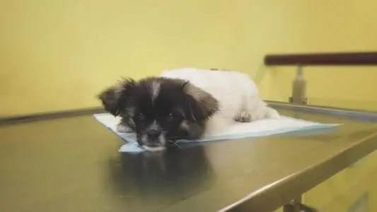 等待检查结果的心情短语