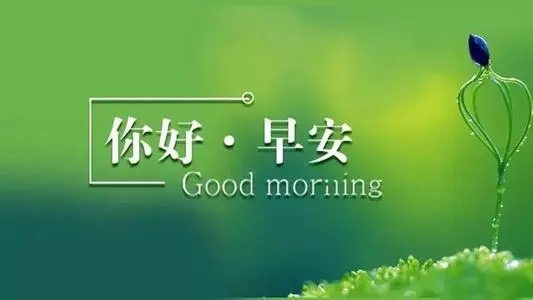 早上好的幽默风趣句子文案