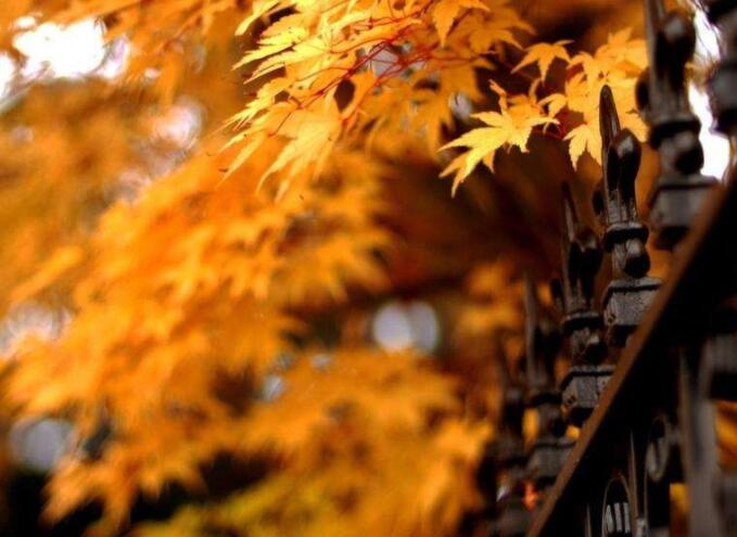 适合发快手的句子文案