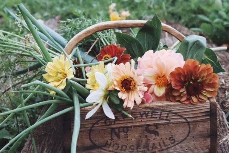 惊喜的说说心情句子文案