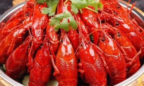 喜欢吃龙虾的搞笑句子文案