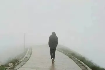 发信息不回的心情句子文案