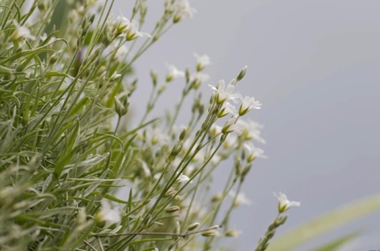 对待感情无奈的说说文案