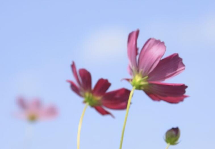 快手励志句子文案最热2024