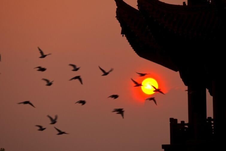 形容游子回到故乡的句子文案