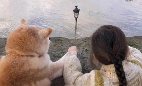 适合中年人发的抖音文案