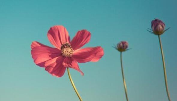 形容对一样东西着迷的句子文案