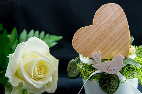 英文留言大全爱情句子文案