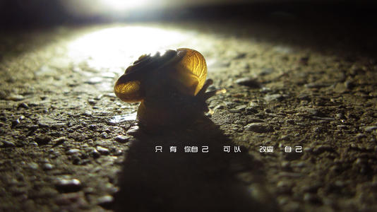 未来迷茫的诗句文案