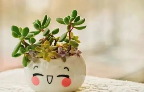 好句子文案发朋友圈短句