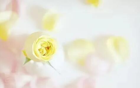 早安心语健康简单一句话