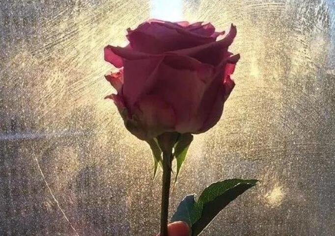 深夜暖心情话文案