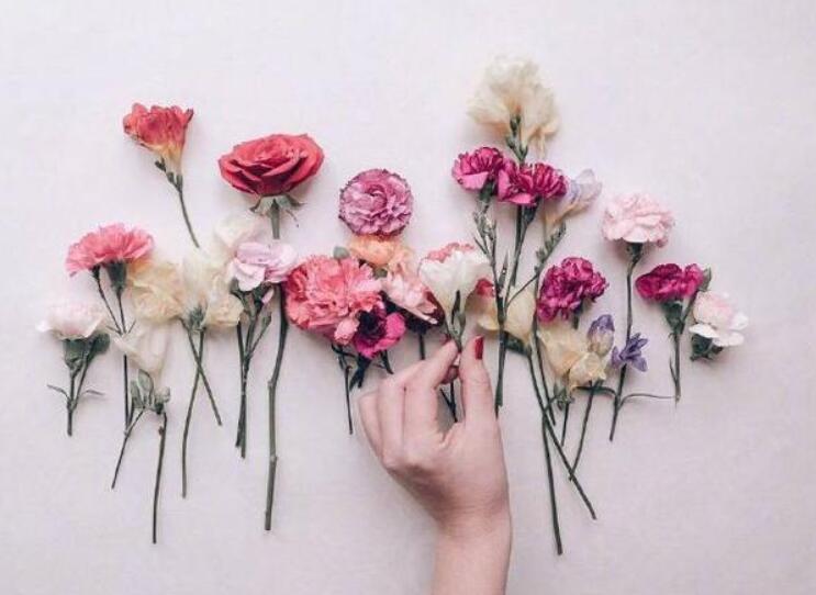 唯美的句子文案女生