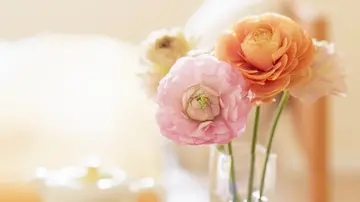 四字诗句文案古风爱情