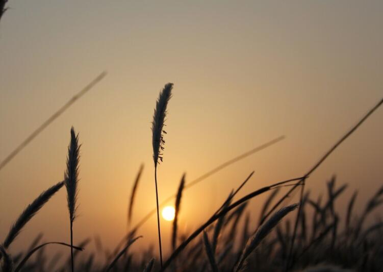 游玩发朋友圈的句子文案