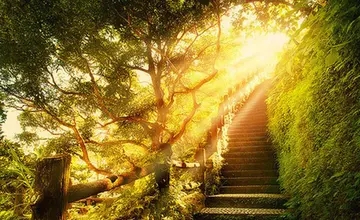 一句充满正能量的话