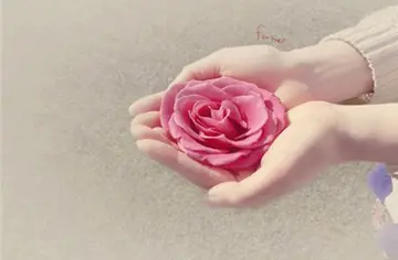 表达感谢的句子文案简短说说心情