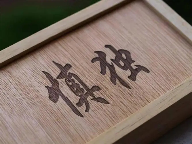 吾日三省吾身人生感悟