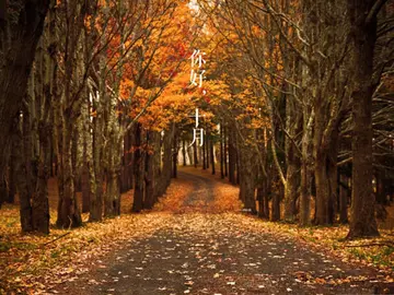 十月唯美句子文案