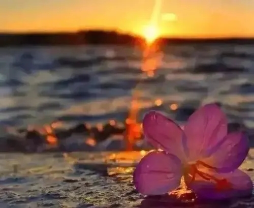 感情拿得起放得下语录文案