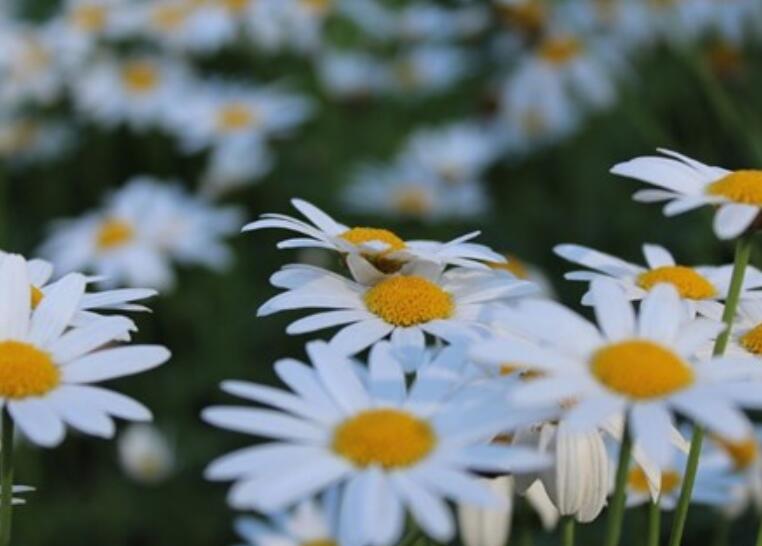 仿照例句用名人名言来说明自己的观点