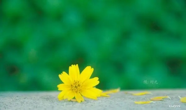 8月再见九月你好一些语录文案