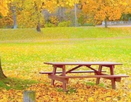 描写秋天的优美句子文案