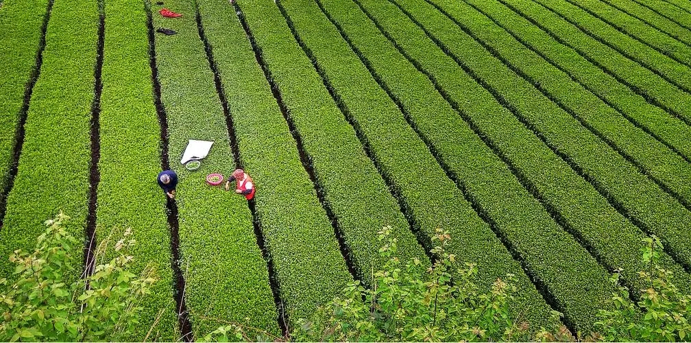 羡慕别人的生活的句子文案