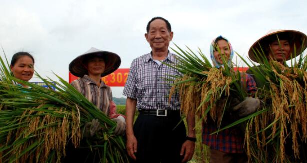 描写伟人去世的悲伤的句子文案