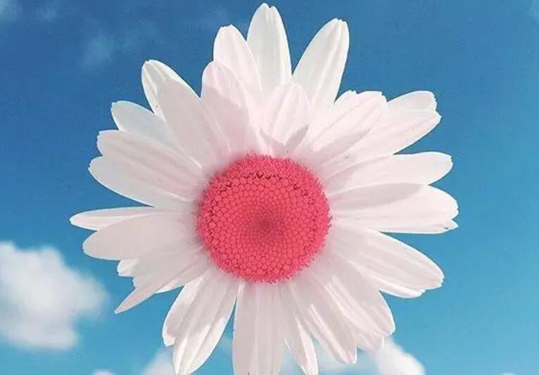 时光语录文案经典唯美