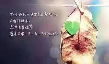 老年人发朋友圈的短句