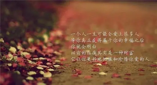 适合女人励志的语录文案