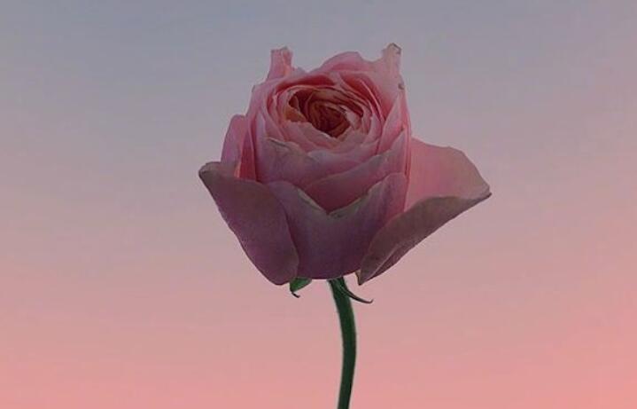 最暖心的早上问候语