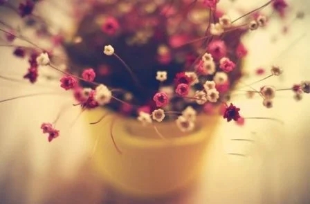 女人自信的幽默句子文案