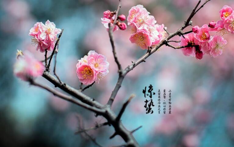 惊蛰诗句文案古诗