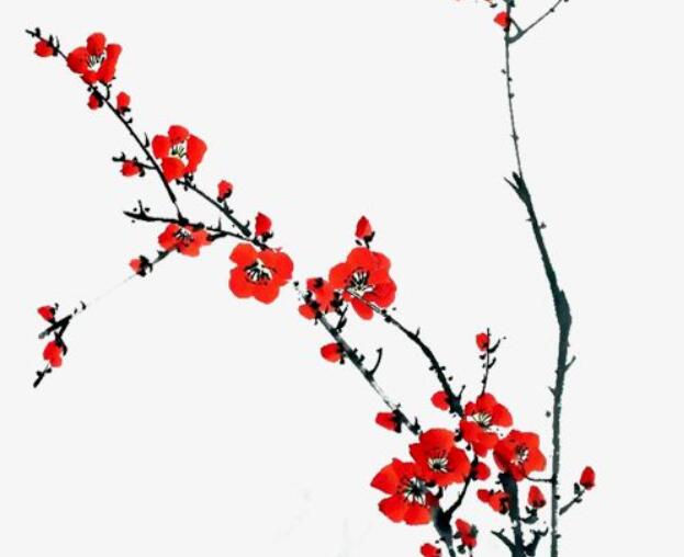 腊梅的说说文案