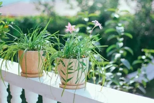 春天的文艺短句