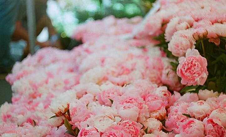 有关于人生哲理的句子文案