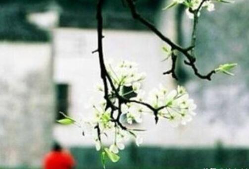 佛学能量早安心语