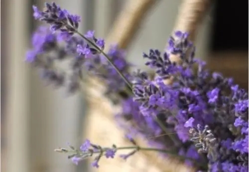 回首往事的句子文案诗句